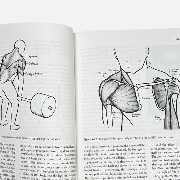 Fitness Book Starting Strength Basic Barbell Training Mark Rippetoe 3rd Edition - Picture 11 of 16